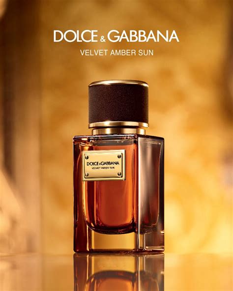 amber sun dolce and gabbana.